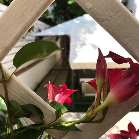 Bed & Breakfast Virgilio’s Garden