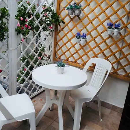Virgilio’s Garden